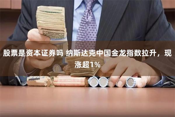 股票是资本证券吗 纳斯达克中国金龙指数拉升，现涨超1%