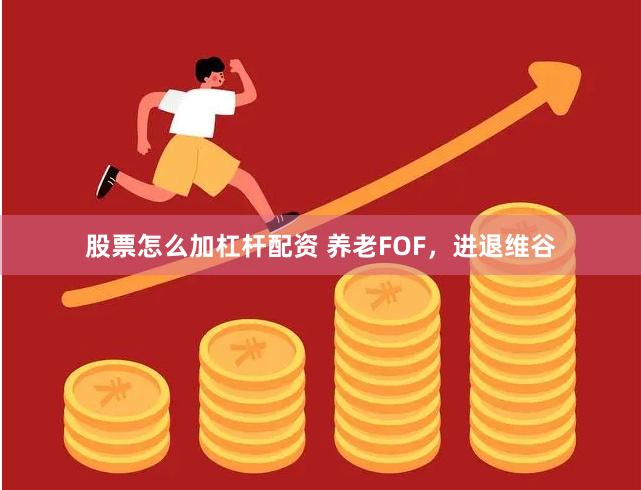 股票怎么加杠杆配资 养老FOF，进退维谷