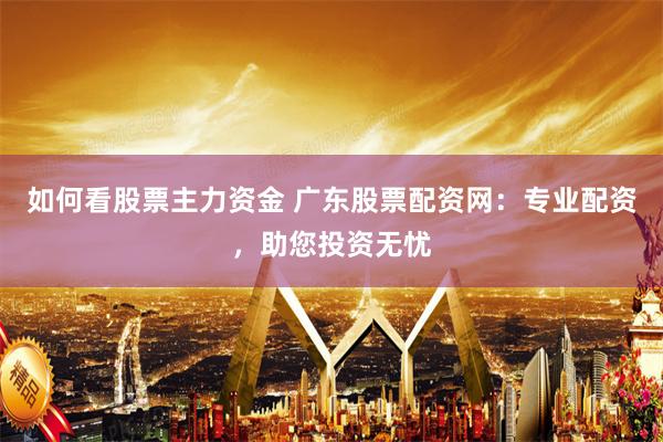 如何看股票主力资金 广东股票配资网：专业配资，助您投资无忧